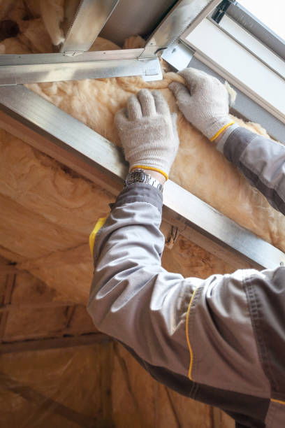 Best Insulation Installation Cost  in Cuthbert, GA