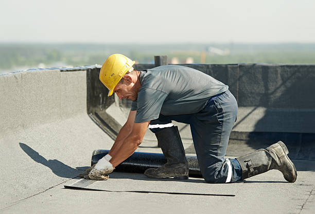 Best Fiberglass Insulation  in Cuthbert, GA